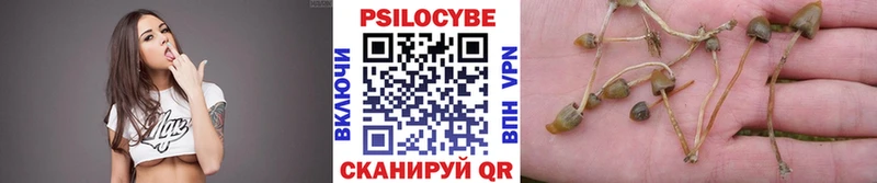 где купить   Туринск  Галлюциногенные грибы Psilocybine cubensis 